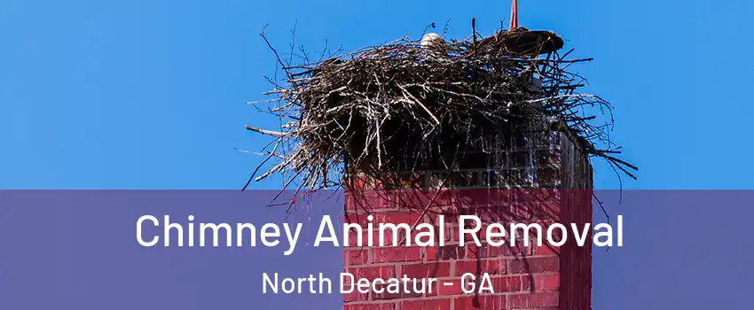  Chimney Animal Removal North Decatur - GA